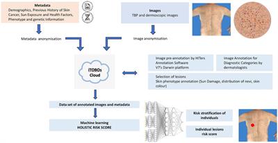 A protocol for annotation of total body photography for machine learning to analyze skin phenotype and lesion classification